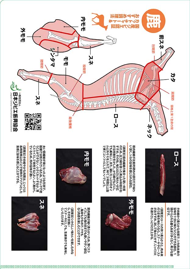 クリアファイル裏
